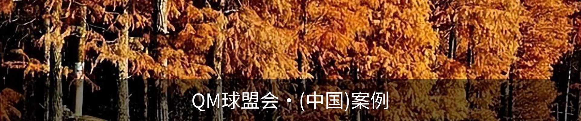 QM球盟会·(中国)案例